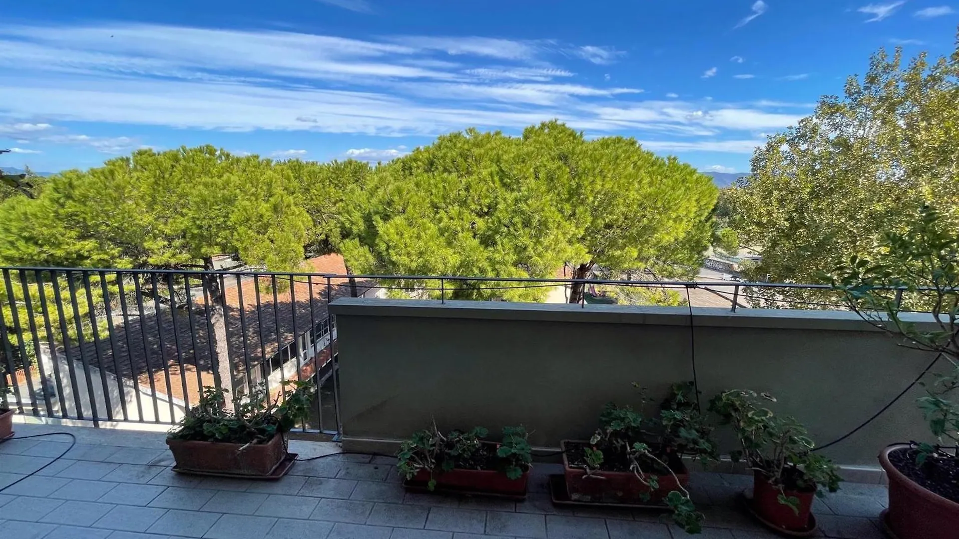Pisa, Arte, La Torre Pendente E Noi Ti Aspettiamo! Apartment